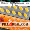 Oral Jelly 100Mg Kamagra How To Use new05